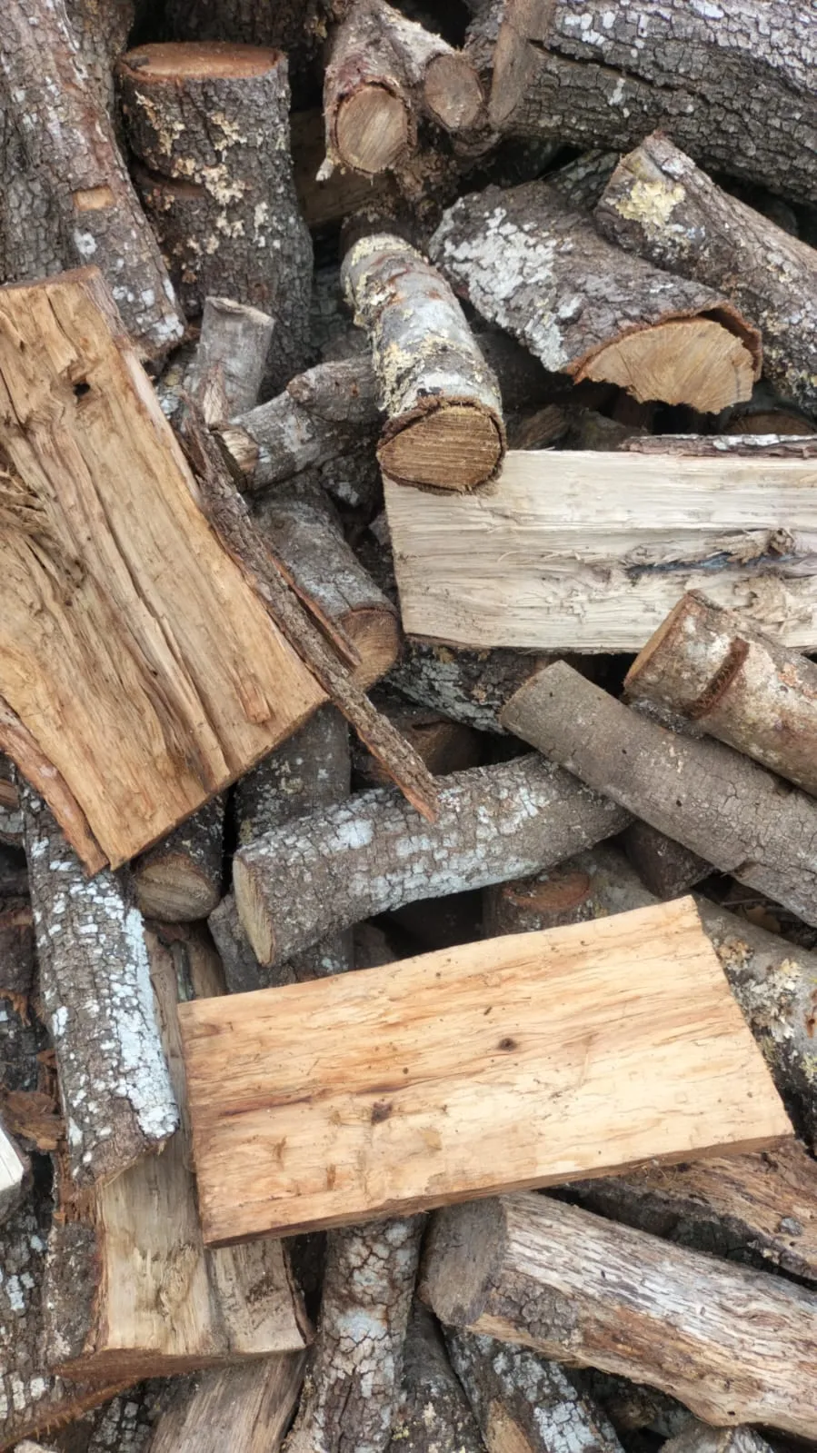 Detailansicht von trockenem Eichenholz