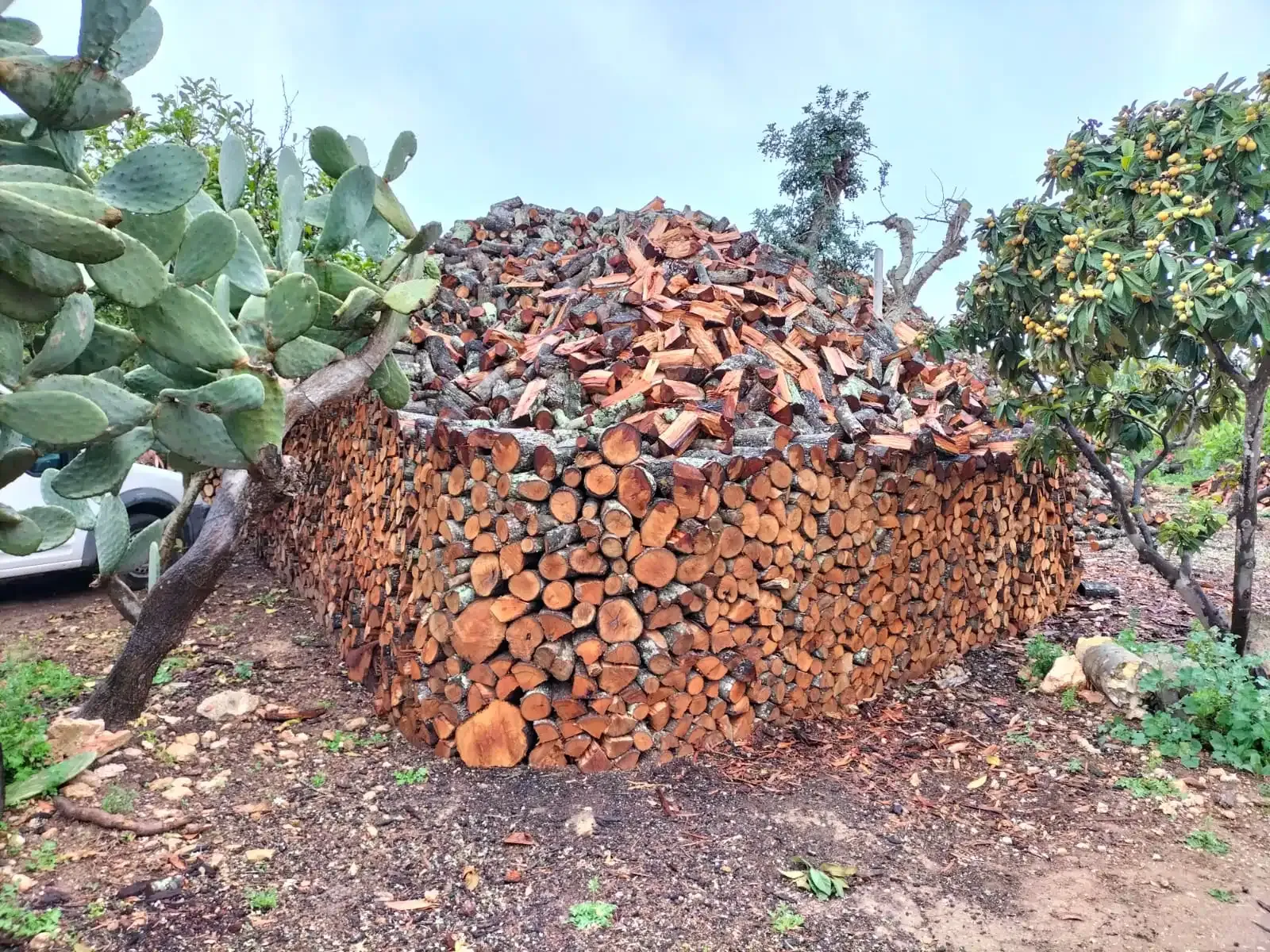 Trockenes Brennholz in einem ländlichen Lager auf Mallorca