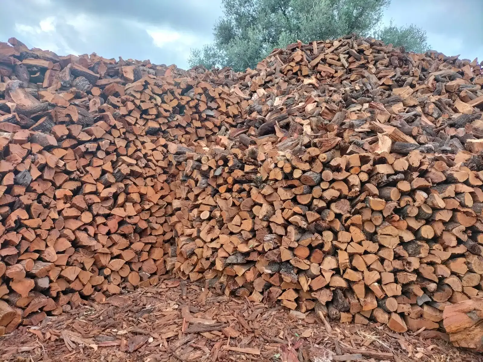 Kleine geschnittene Holzstücke zum Anzünden